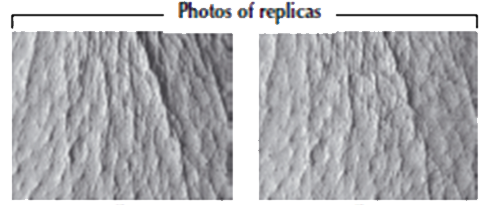 Rye Extract Before-After