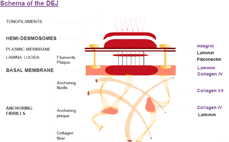 Yeast Extract Illustration